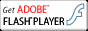 Adobe Flash Playerプラグイン Adobe Flash Playerプラグイン